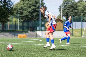 Bild 49 - wCJ Hamburger SV - FC Rosengarten : Ergebnis: 1:1